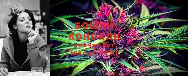 ECSTASY Ладушкин