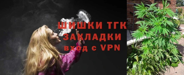 ECSTASY Ладушкин