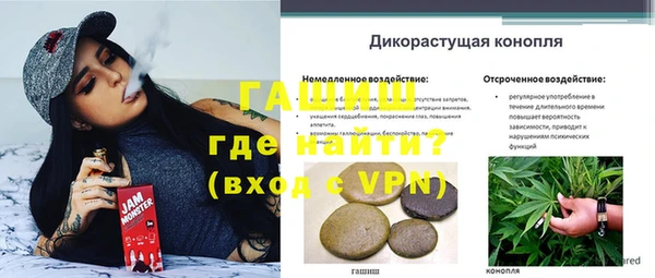 ECSTASY Ладушкин