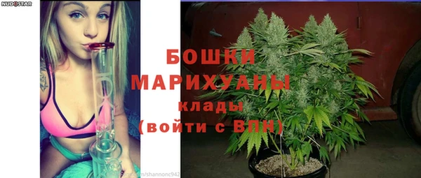 ECSTASY Ладушкин